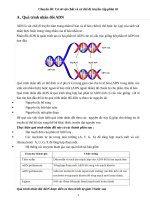 Chuyên đề  sinh học 12   cơ sở vật chất  cơ di truyền và biến bị ở cấp phân tử