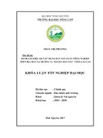 Đánh giá hiệu quả sử dụng đất sản xuất nông nghiệp trên địa bàn xã mường vi, huyện bát xát, tỉnh lào cai 