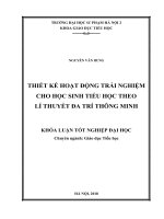 Thiết kế hoạt động trải nghiệm cho học sinh tiểu học theo lí thuyết đa trí thông minh 