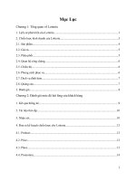 ĐÁNH GIÁ MỨC ĐỘ HÀI LÒNG CỦA KHÁCH HÀNG VỀ Công Ty TNHH Lotteria