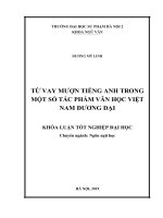 Từ vay mượn tiếng anh trong một số tác phẩm văn học việt nam đương đại 