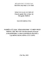 Nghiên cứu đặc tính sinh học và biện pháp phòng trừ bọ vòi voi diocalandra frumenti (coleoptera curculionidae) hại dừa tại đồng bằng sông cửu long tt 