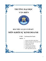 BÀI TIỂU LUẬN CUỐI KỲ MÔN KHỞI SỰ KINH DOANH
