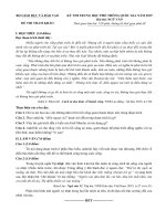2 đề thi tham khảo THPT  nguvan thamkhao k19