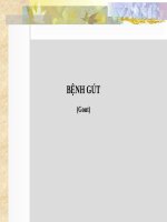 BỆNH gút benh hoc đh dược Hà Nội