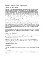 GIẢI PHÁP NÂNG CAO HIỆU QUẢ HOẠT ĐỘNG QUẢN TRỊ NGUỒN NHÂN LỰC TAI CÔNG TY TNHH NÊM EDELA