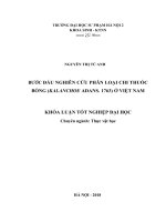 Bước đầu nghiên cứu phân loại chi thuốc bỏng (kalanchoe adans  1763) ở việt nam 