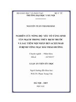 Nghiên cứu nồng độ yếu tố tăng sinh tân mạch trong thủy dịch trước và sau tiêm nội nhãn Bevacizumab ở bệnh võng mạc đái tháo đường (FULL TEXT)