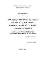 Xây dựng và sử dụng hệ thống bài tập tích hợp trong dạy học số tự nhiên cho học sinh lớp 4 
