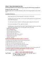 xe nâng tay thấp 2.5 - 3.0 tấn