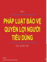 GIÁO ÁN ĐIỆN TỬ MÔN PHÁP LUẬT. PHÁP LUẬT BẢO VỆ QUYỀN LỢI NGƯỜI TIÊU DÙNG. CĐ GIÁO DỤC NGHỀ NGHIỆP 2022