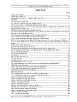 DTM hạ tầng kỹ thuật khu chế biến HẢI SẢN