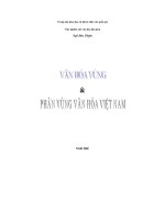 van hoc vung va phan vung van hoa viet nam