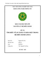 Tổng quan về an toàn và bảo mật trong hệ điều hành Linux