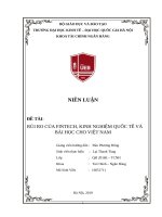 Niên luận rủi ro Fintech