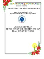 CNCB CAC SAN PHAM DANG NHU TUONG