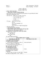 giáo án tiếng anh tuần 1. CKTKN. 2019  2020