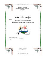 NGHIÊN CỨU SẢN XUẤT ETHANOL SINH HỌC TỪ RƠM RẠ