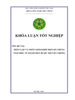 PHÂN LẬP VÀ NHÂN SINH KHỐI MỘT SỐ CHỦNGNẤM MỐC TỪ BÁNH MEN RƯỢU TRUYỀN THỐNG