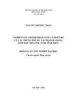 Nghiên cứu thành phần loài và phân bố của ấu trùng phù du tại trạm đa dạng sinh học mê linh, tỉnh vĩnh phúc 