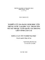 Nghiên cứu đa dạng sinh học côn trùng nước tại vườn khu vực trạm tôn  núi xẻ thuộc vườn quốc gia hoàng liên tỉnh lào cai 