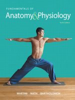 Fundamentals of anatomy and physiology 10th ed    f  martini, j  nath, e  bartholomew (pearson, 2015) 1 