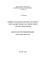 Nghiên cứu đa dạng sinh học côn trùng nước tại một số khu vực thuộc huyện văn yên, tỉnh yên bái 