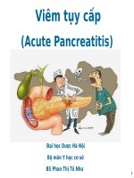 Viêm tụy cấp bài giảng đh dược Hà Nội