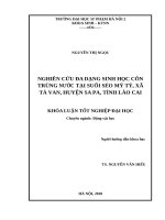 Nghiên cứu đa dạng sinh học côn trùng nước tại suối séo mý tỷ, xã tả van, huyện sa pa, tỉnh lào cai 
