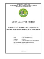 NGHIÊN CỨU SẢN XUẤT PHÂN HỮU CƠ SINH HỌC TỪ  BÙN THẢI BỂ PHỐT VÀ MỘT SỐ PHỤ PHẨM NÔNG NGHIỆP