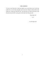 Mô hình nước dâng do bão ven biển vịnh bắc bộ 