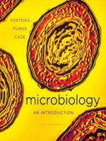 Microbiology, an introduction 11th ed    g  tortora, b  funke, c  case (pearson, 2013) 1 
