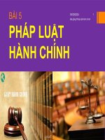GIÁO ÁN ĐIỆN TỬ PHÁP LUẬT HÀNH CHÍNH. CAO ĐẲNG GIÁO DỤC NGHỀ NGHIỆP 2022