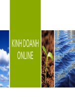 Khoi nghiep kinh doanh online 