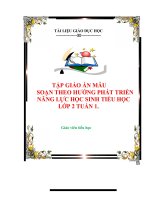 TẬP GIÁO ÁN MẪU SOẠN THEO HƯỚNG PHÁT TRIỂN  NĂNG LỰC HỌC SINH TIỂU HỌC  LỚP 2 TUẦN 1.