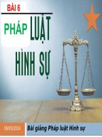 GIÁO ÁN ĐIỆN TỬ MÔN PHÁP LUẬT. PHÁP LUẬT HÌNH SỰ.CĐ GIÁO DỤC NGHỀ NGHIỆP 2022