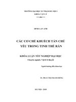 Các cơ chế khuếch tán chủ yếu trong tinh thể rắn 