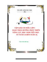 TẬP GIÁO ÁN MẪU LỚP 5 SOẠN THEO HƯỚNG PHÁT TRIỂN NĂNG LỰC HỌC SINH TIỂU HỌC TỪ TUẦN 14 ĐẾN TUẦN 16.