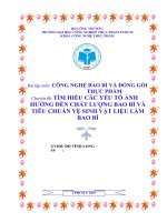 TIỂU LUẬN CÔNG NGHỆ BAO bì các yếu tố ẢNH HƯỞNG đến CHẤT LƯỢNG BAO bì và TIÊU CHUẨN vệ SINH vật LIỆU làm BAO bì