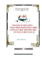 TẬP GIÁO ÁN MẪU LỚP 5 SOẠN THEO HƯỚNG PHÁT TRIỂN NĂNG LỰC HỌC SINH TIỂU HỌC TỪ TUẦN 11 ĐẾN TUẦN 13.