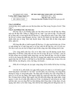 de thi hsg ngu van 10 nam 2018 2019 truong thuan thanh 2 bac ninh 