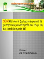 BÀI TIỂU LUẬN khái niệm về quy hoạch mảng xanh đô thị  quy hoạch mảng xanh đô thị nhằm mục tiêu gìhãy phân tích rõ các mục tiêu đó