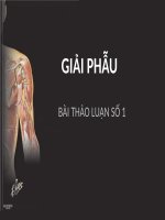 CHUYÊN ĐỀ GIẢI PHẪU HỌC