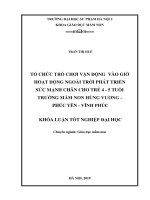 Tổ chức trò chơi vận động vào giờ hoạt động ngoài trời phát triển sức mạnh chân cho trẻ 4   5 tuổi trường mầm non hùng vương   phúc yên   vĩnh phúc 