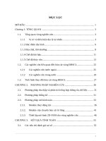 Nghiên cứu sự biến động của bùn cát vùng đồng bằng sông cửu long luận văn thạc sĩ kỹ thuật chuyên ngành thủy văn học 