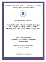 Ảnh hưởng của cơ cấu vốn đến hiệu quả hoạt động của một số ngân hàng thương mại việt nam giai đoạn 2010   2017 