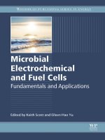microbial electrochemical and fuel cells   fundamentals and applications woodhead (2015)