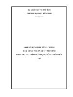 MỘT SỐ BIỆN PHÁP TĂNG CƯỜNG  HUY ĐỘNG NGUỒN LỰC TÀI CHÍNH CHO CHƯƠNG TRÌNH XÂY DỰNG NÔNG THÔN MỚI TẠI HUYỆN KIẾN THỤY, THÀNH PHỐ HẢI PHÒNGNội dung luận văn