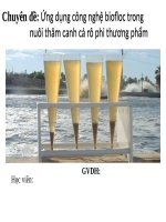 Ứng dụng công nghệ BIOFOC nuôi thâm canh cá rôphi