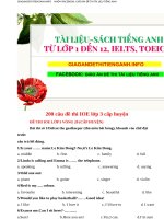 200 cau de thi IOE lop 3 vong huyen